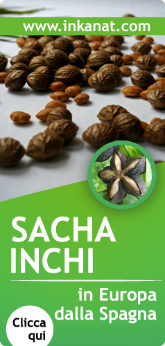 Sacha Inchi in
